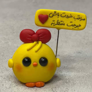 روداشبوردی جوجه خپلی